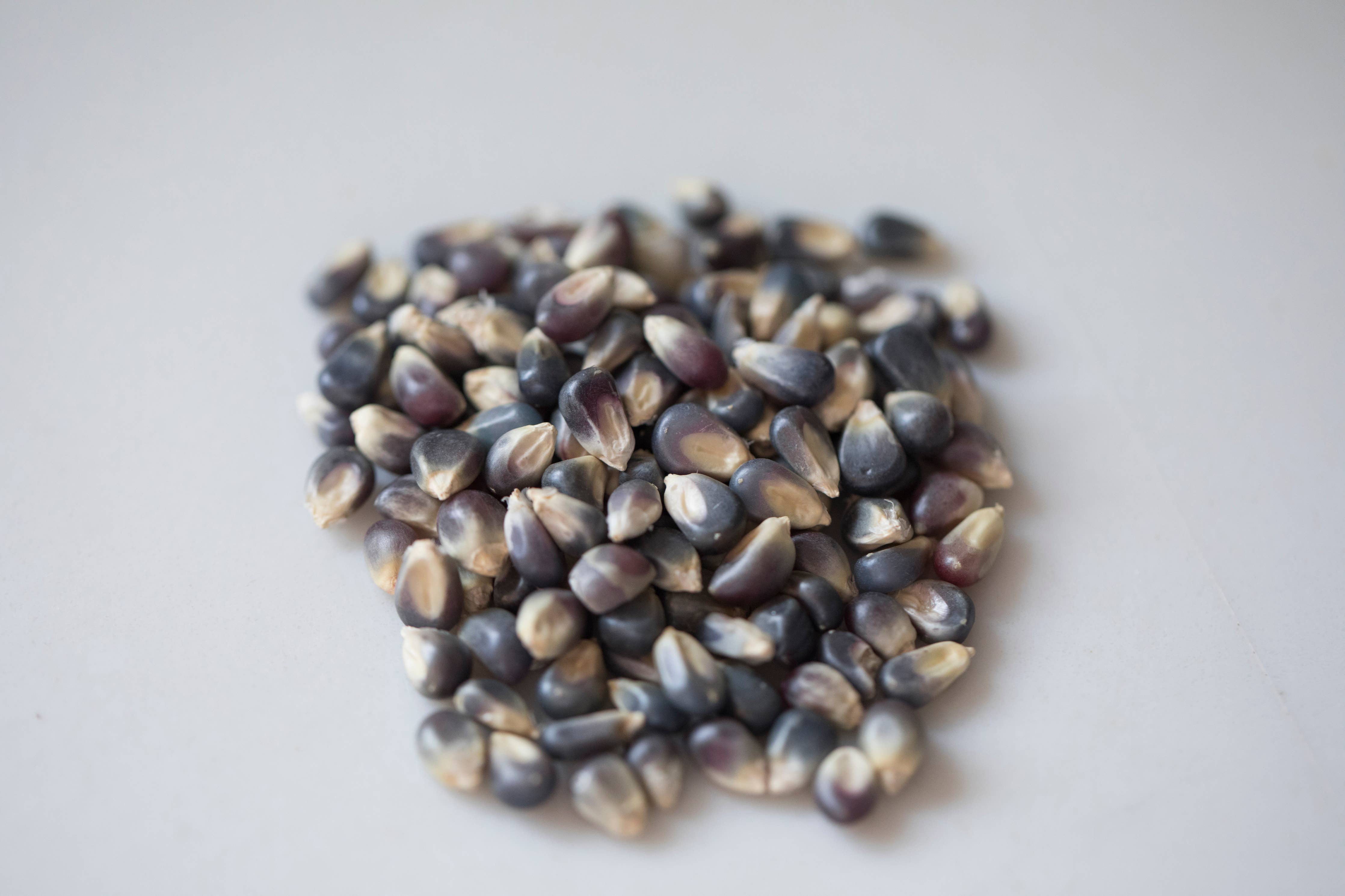 2lb Bag of Midnight Blue Popcorn