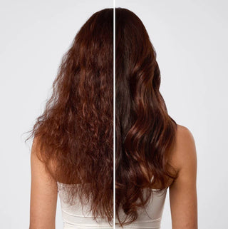 Repairing Argan Oil Conditioner