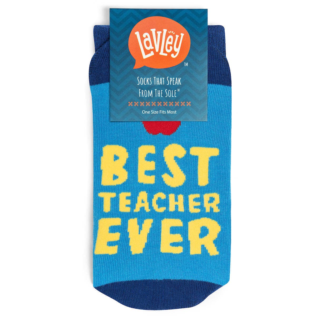 Best Teacher Ever Socks