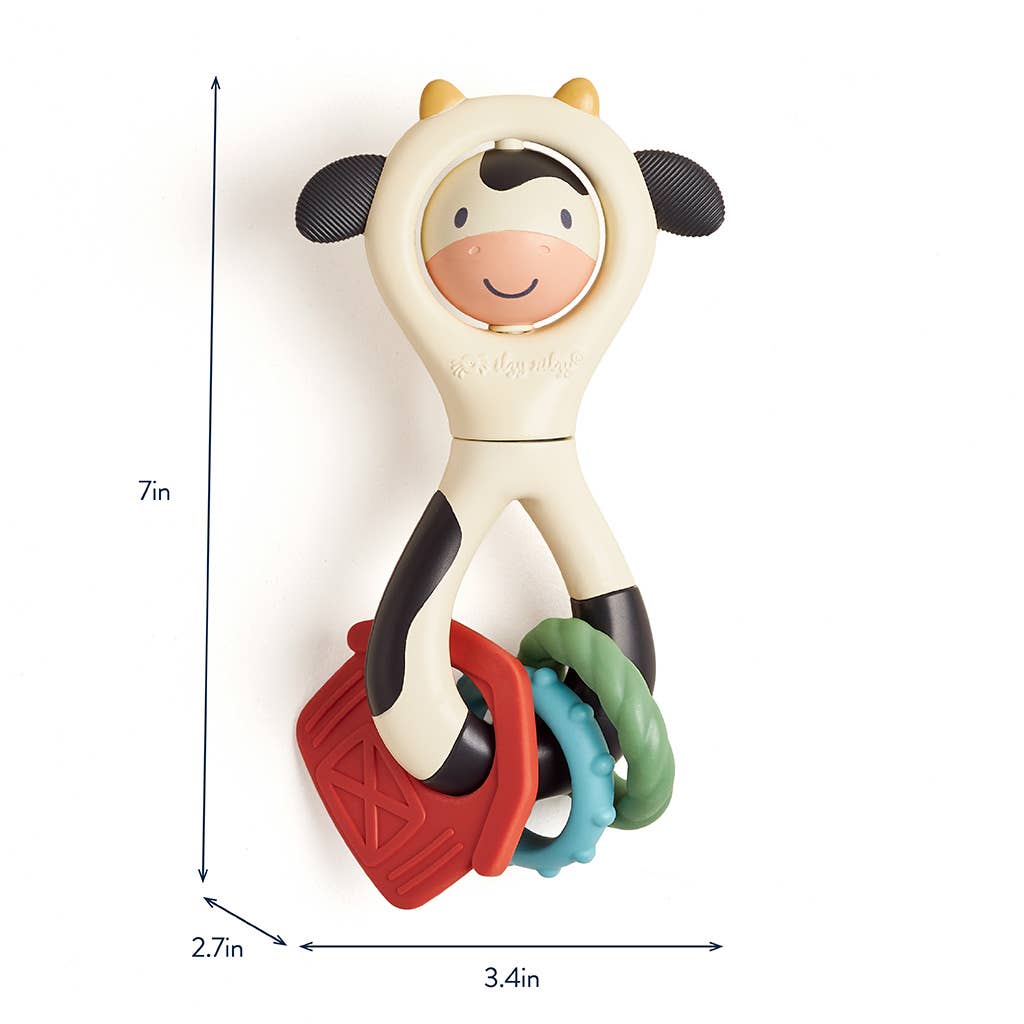 Itzy Spinner™ Sensory Teething Rattle