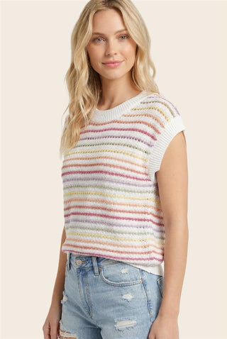 Multi Color Striped Short Sleeve Sweater
