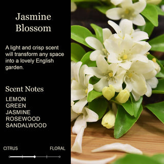 Best Nurse Ever Luxury Soy Candle | Nurse Gift