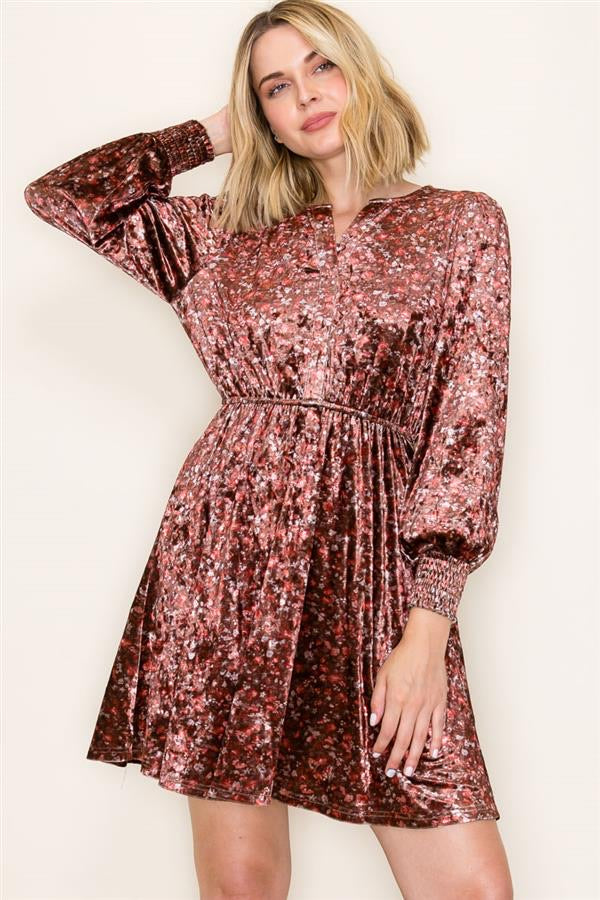 Velvet Floral Print Dress