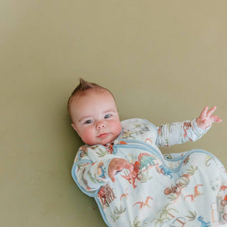 Dino Explorer Three-Layer Sleep Bag