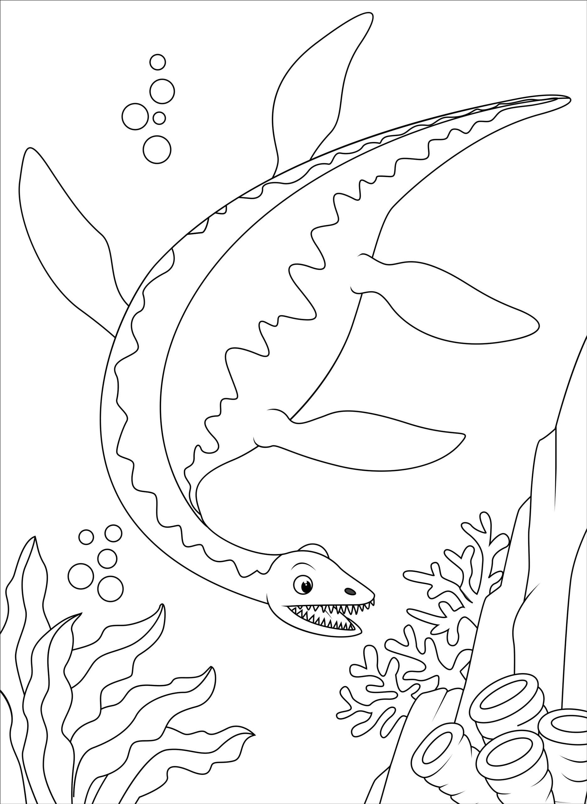 Dinosaurs Coloring Book!