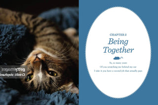 Cancel Your Plans: Cozy Poems by Cats