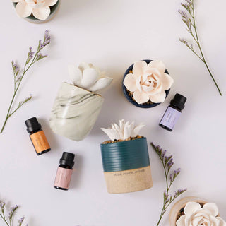 Succulent Oil Diffuser – Relax by Demdaco