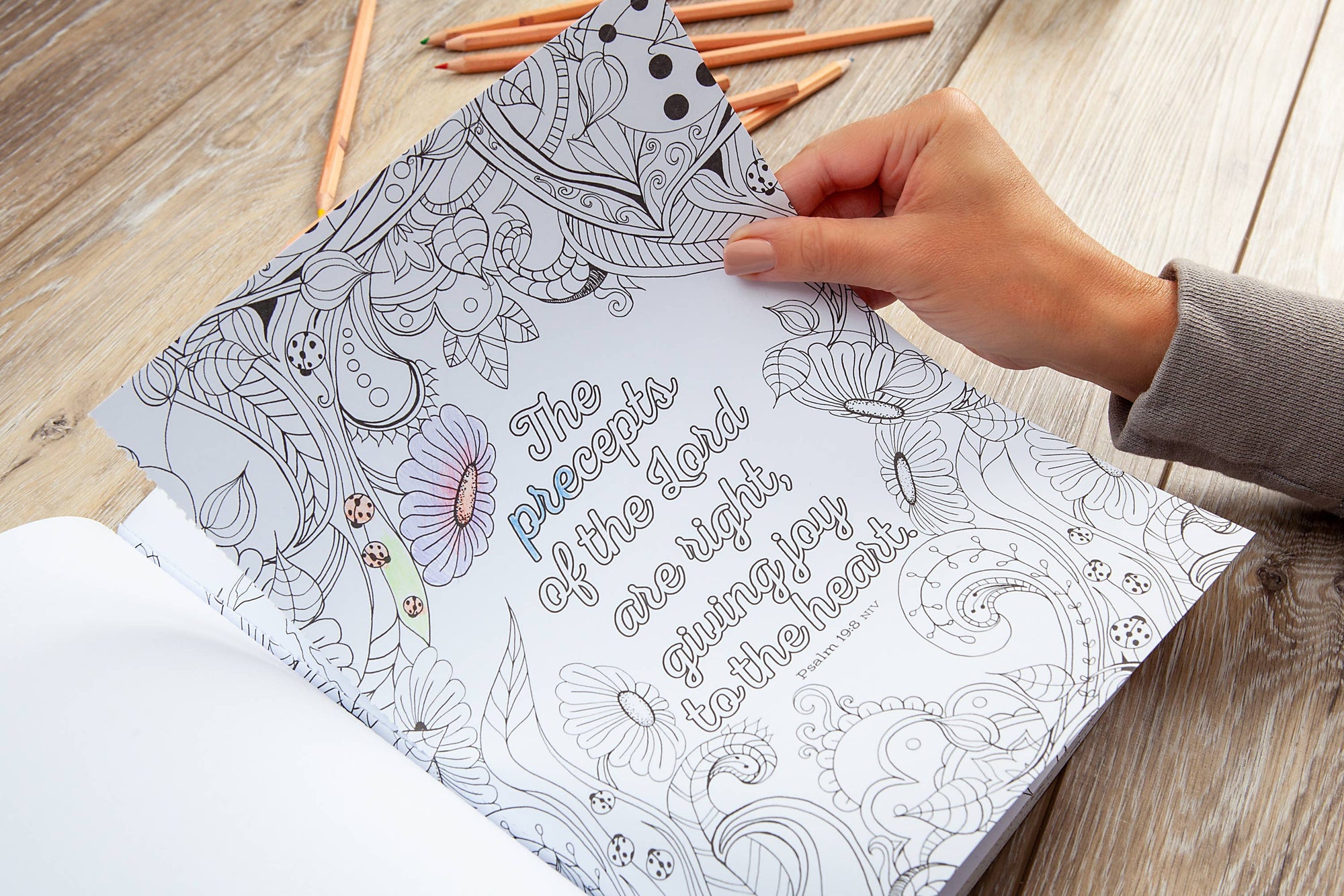 The Beloved Psalms Coloring Book