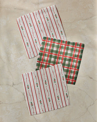 Geometry Alpine Winters Dishcloth Set