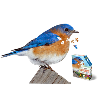 I Am Bluebird 300 Puzzle