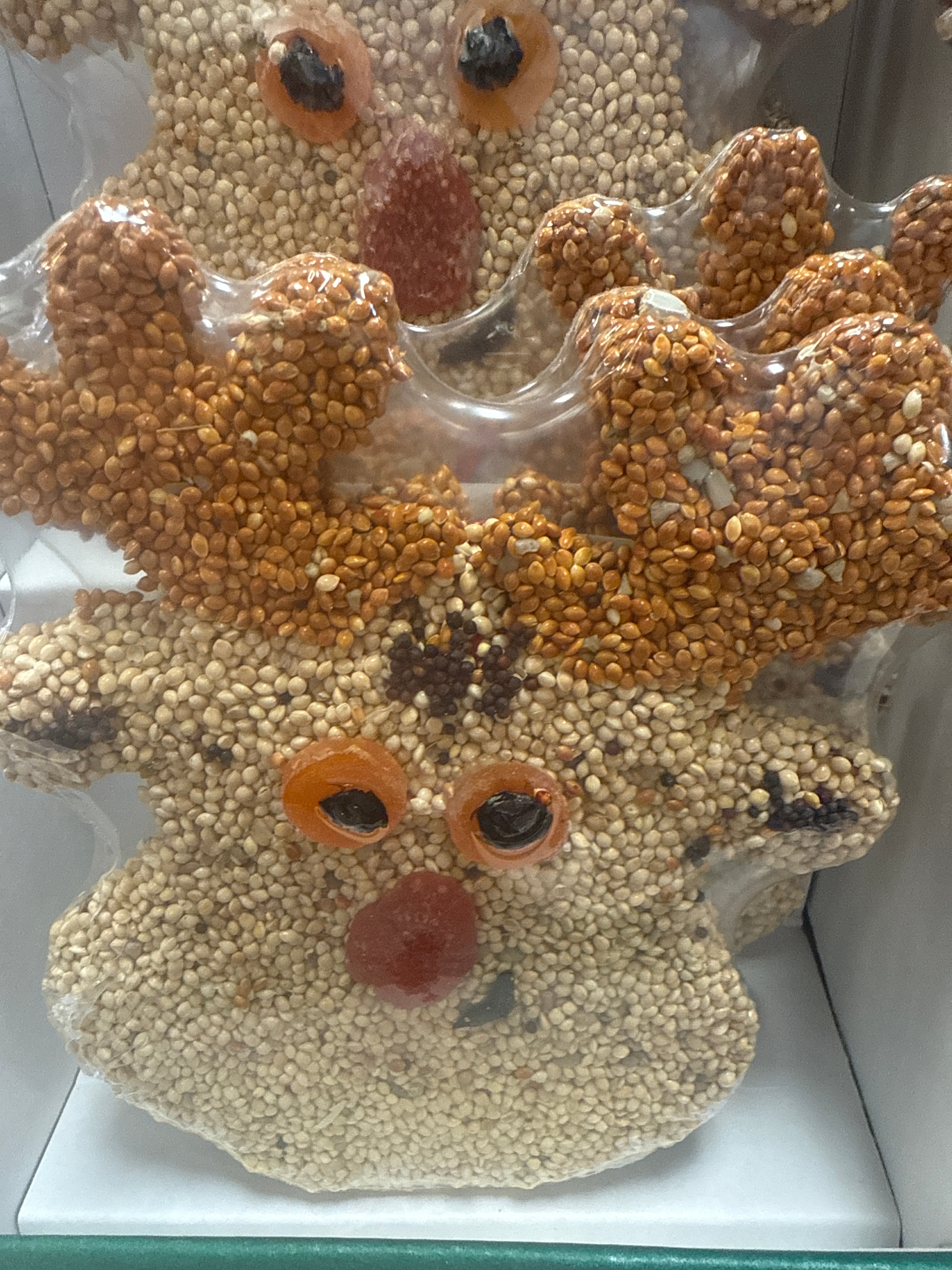 Christmas Cookie Bird Treat