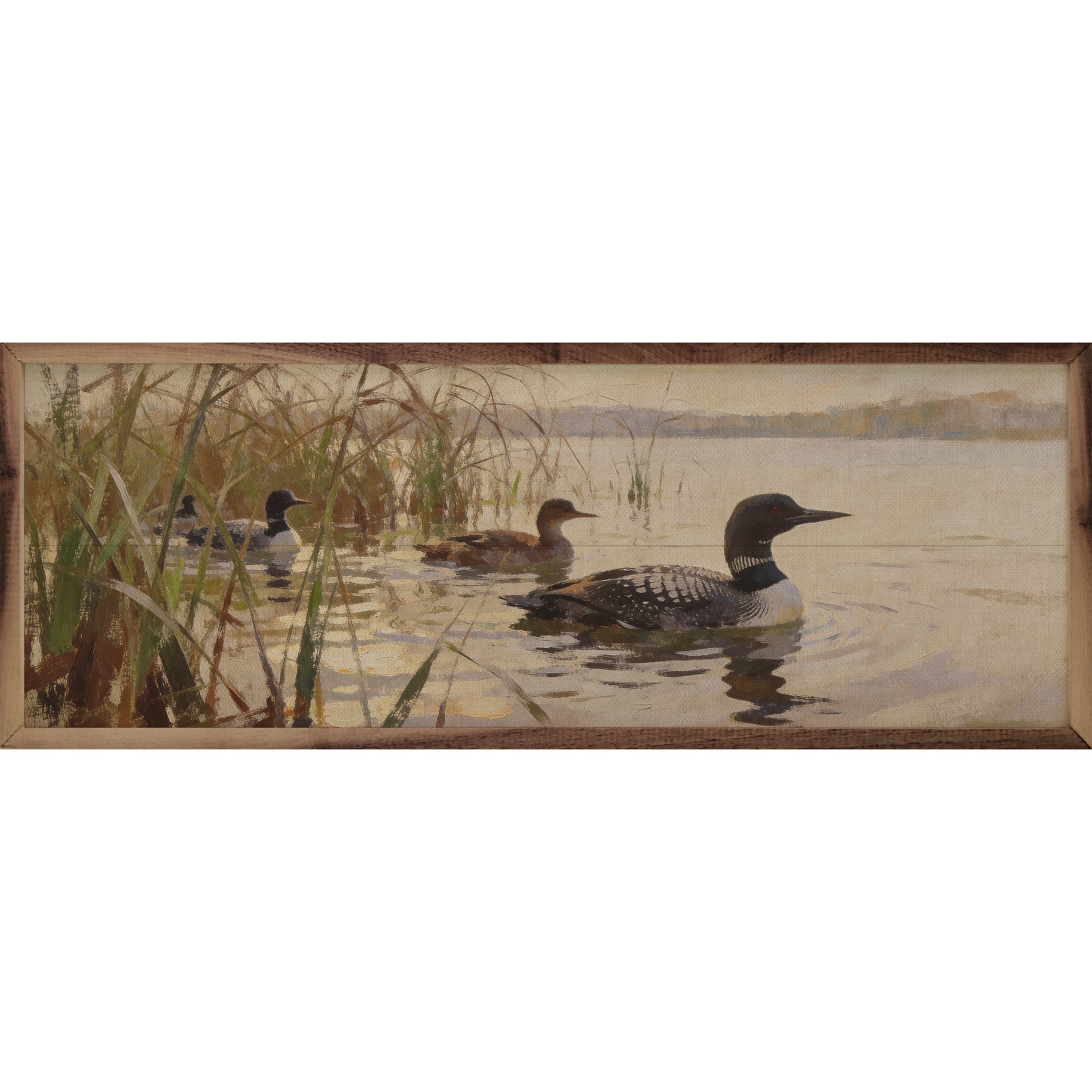 Loons Along The Shore