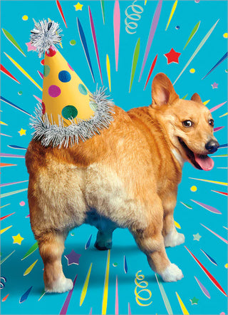 Birthday Greeting Card Corgi Butt Birthday Hat