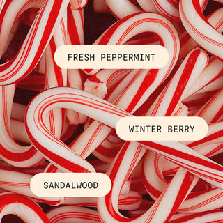 Pura Candy Cane Lane Home Diffuser Fragrance Refill, 10 mL