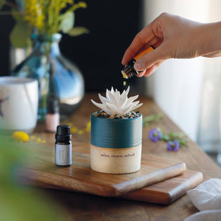 Succulent Oil Diffuser – Relax by Demdaco