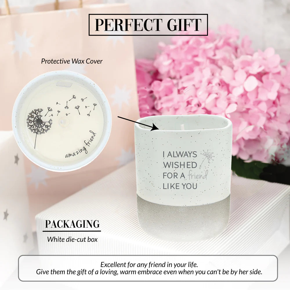 Friend Like You Soy Reveal Candle