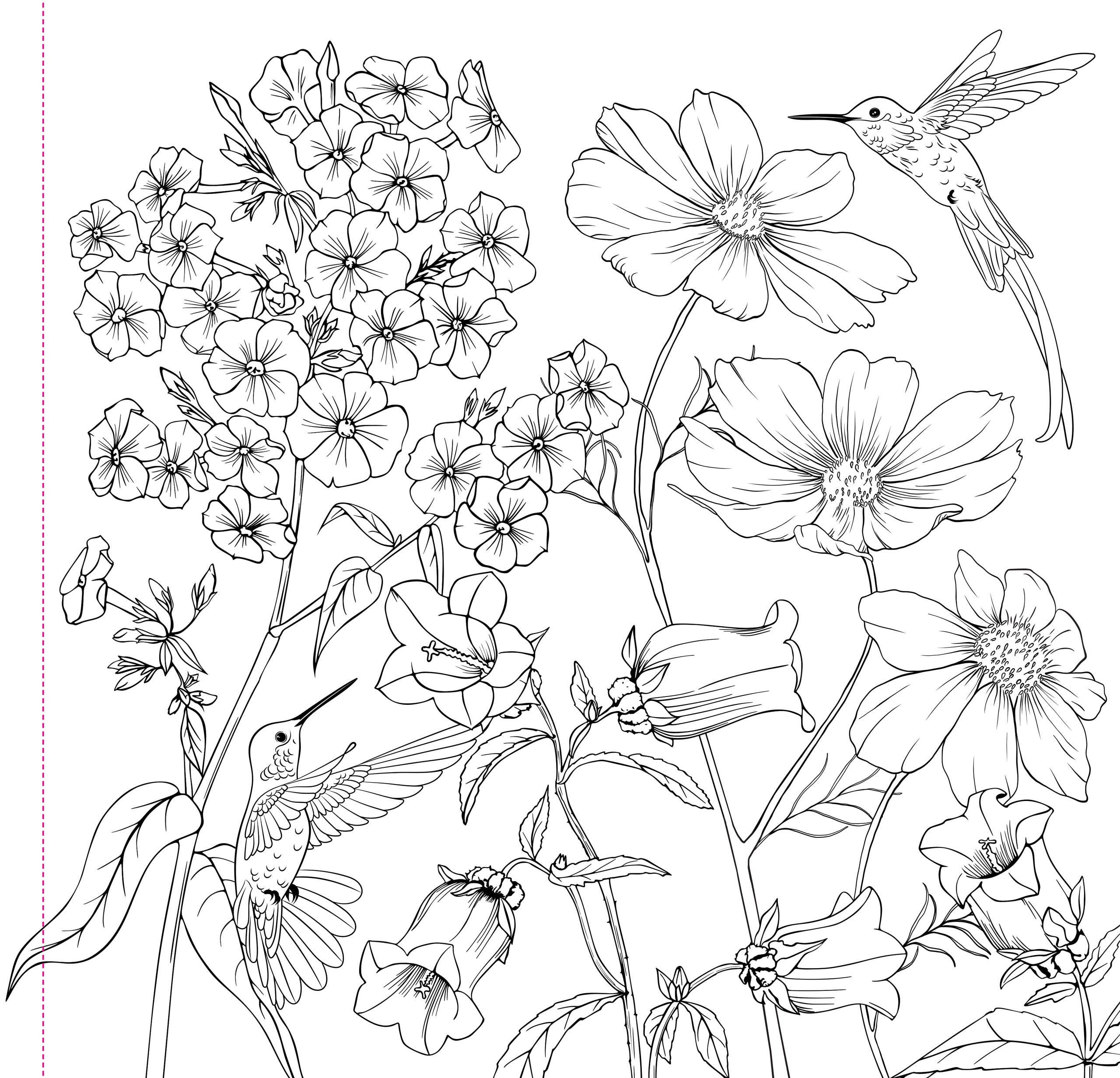 Wildflowers Adult Coloring Book