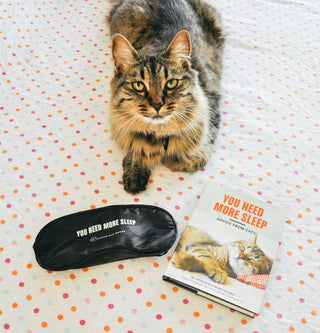 You Need More Sleep: Advice from Cats