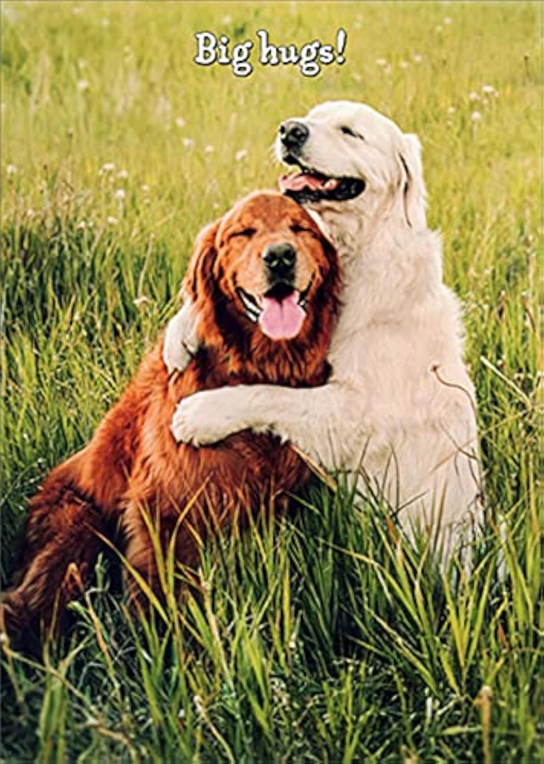 Birthday Greeting Card Golden Retriever Friends