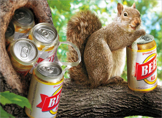 Birthday Greeting Card Squirrels