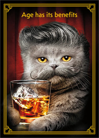 Birthday Greeting Card Gray Cat w/ Mustache