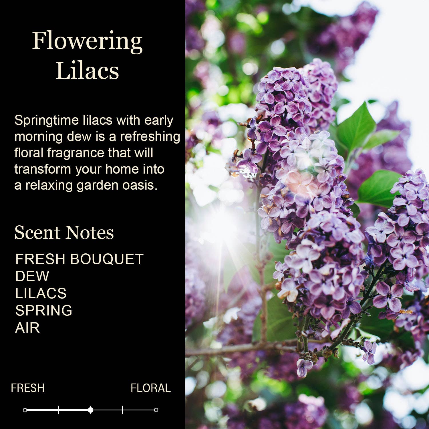 Best Teacher Ever Candle