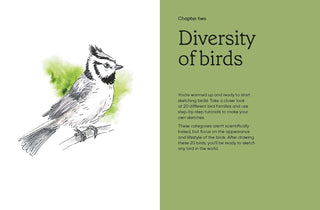 Birds in Watercolour: A Drawing & Painting Guide | Sofia Gazarian