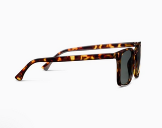 Peepers Mateo Bifocal Sunglasses - Tortoise