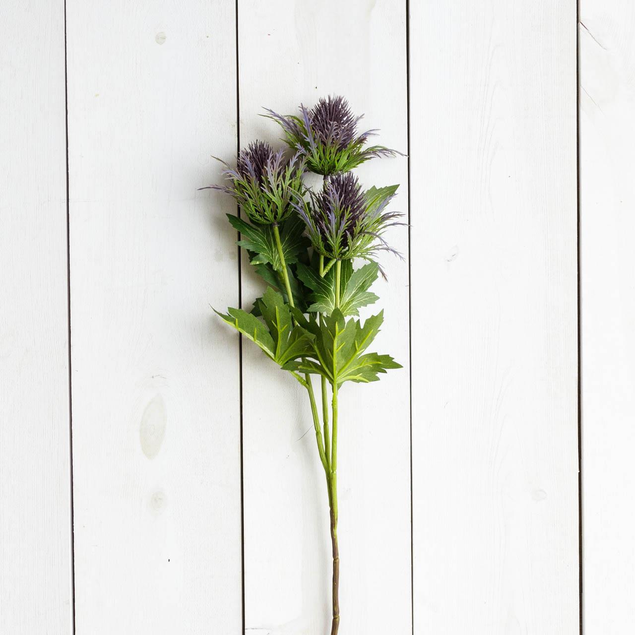 Purple Thistle Branch