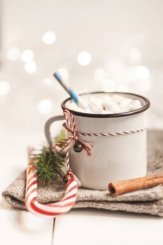 Candy Cane Hot Chocolate Mix