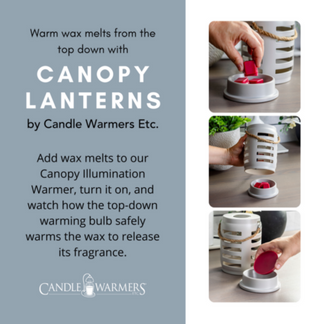 Trellis Lantern Canopy Illumination Warmer