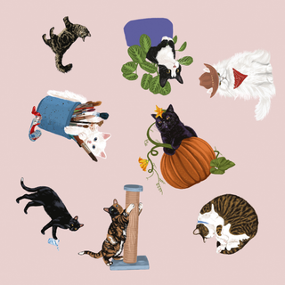 Cat Spotter Family Matching Card Game