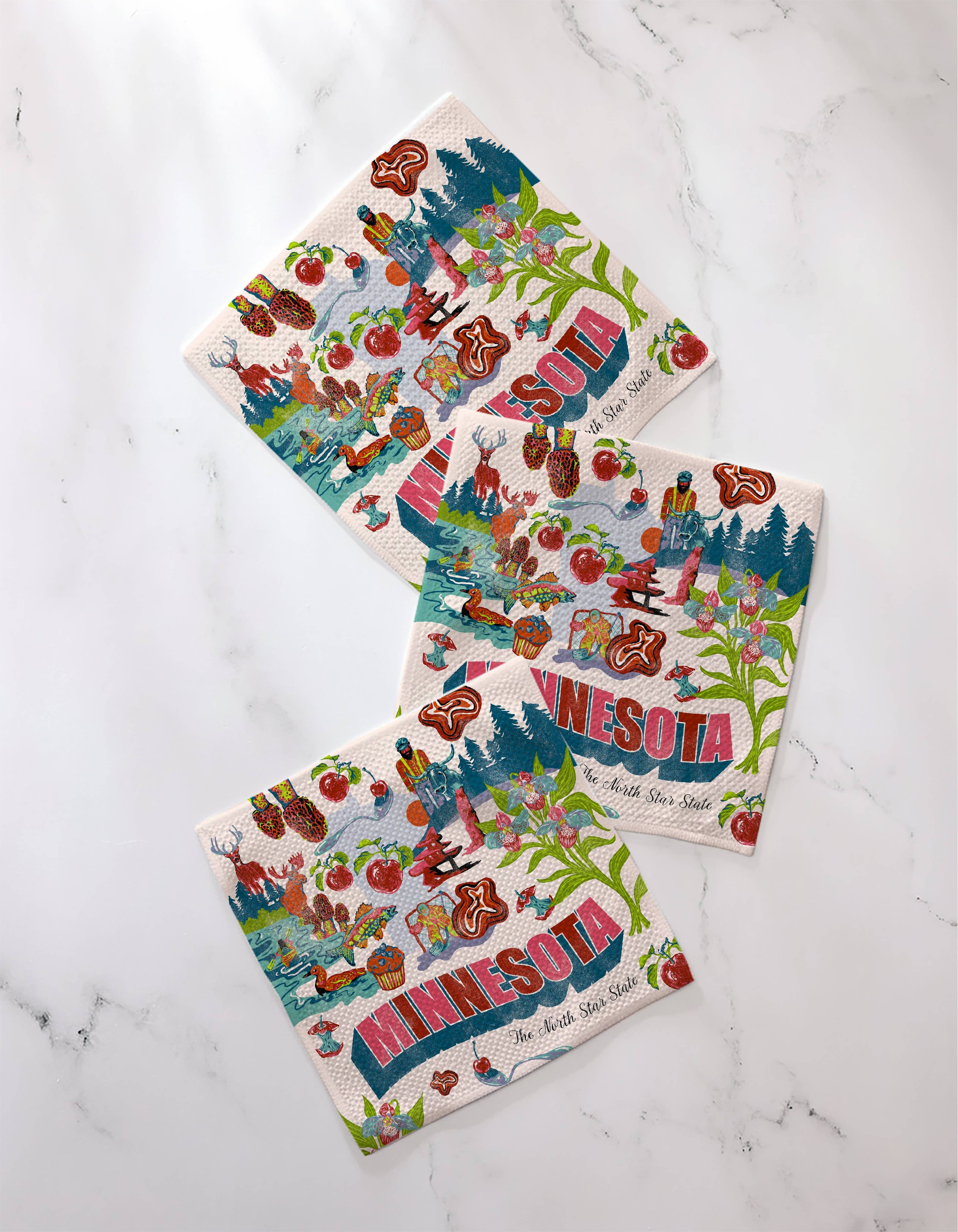 Geometry Greetings From Minnesota Dishcloth Set