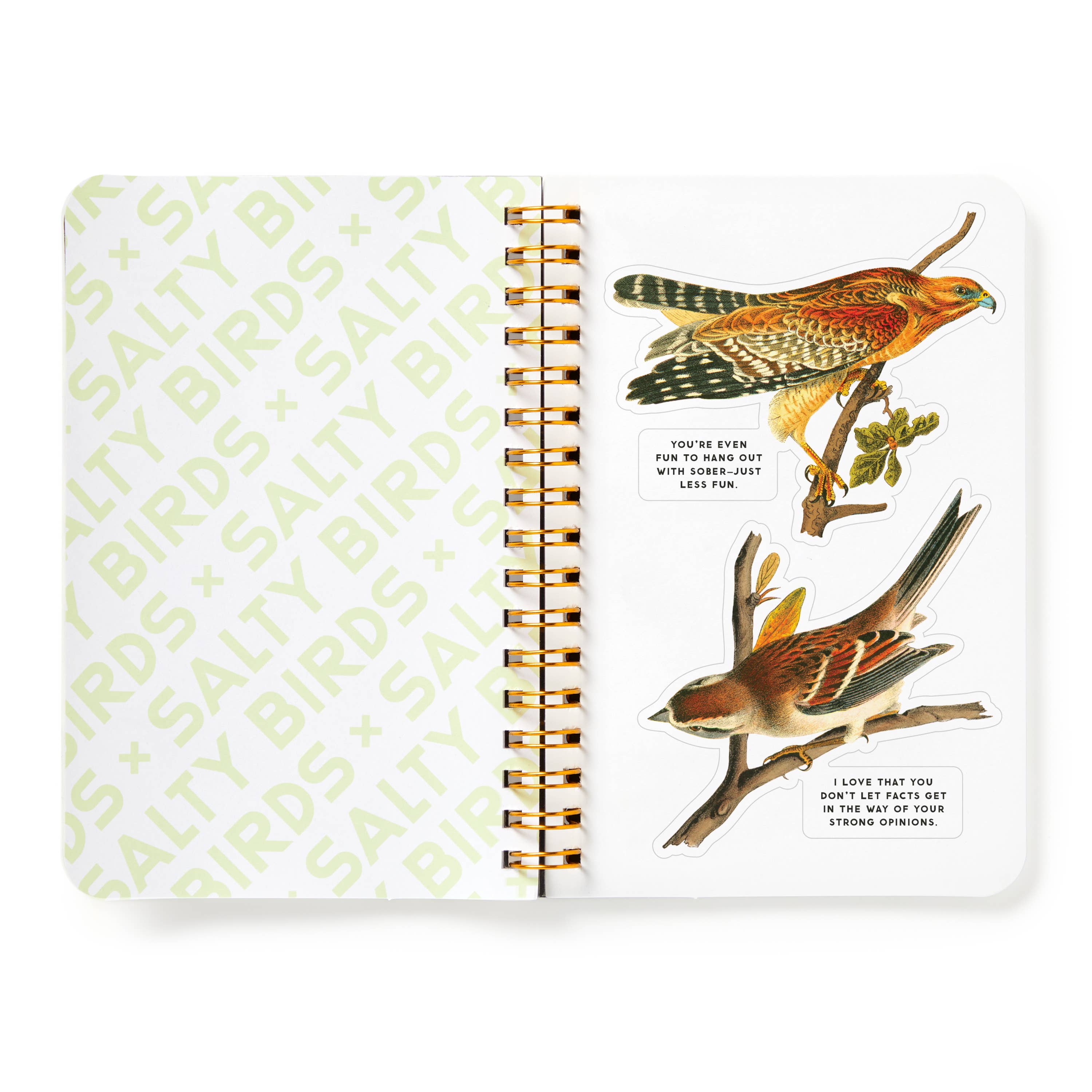 Brass Monkey Salty Birds Sticker Book | Vintage Bird Stickers
