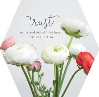 Hexagon Magnet Trust