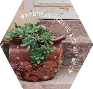 Hexagon Magnet Wherever Life Plants You, Bloom with Grace