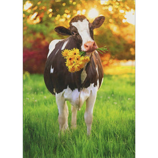Greeting Card Cow Delivers Flowers