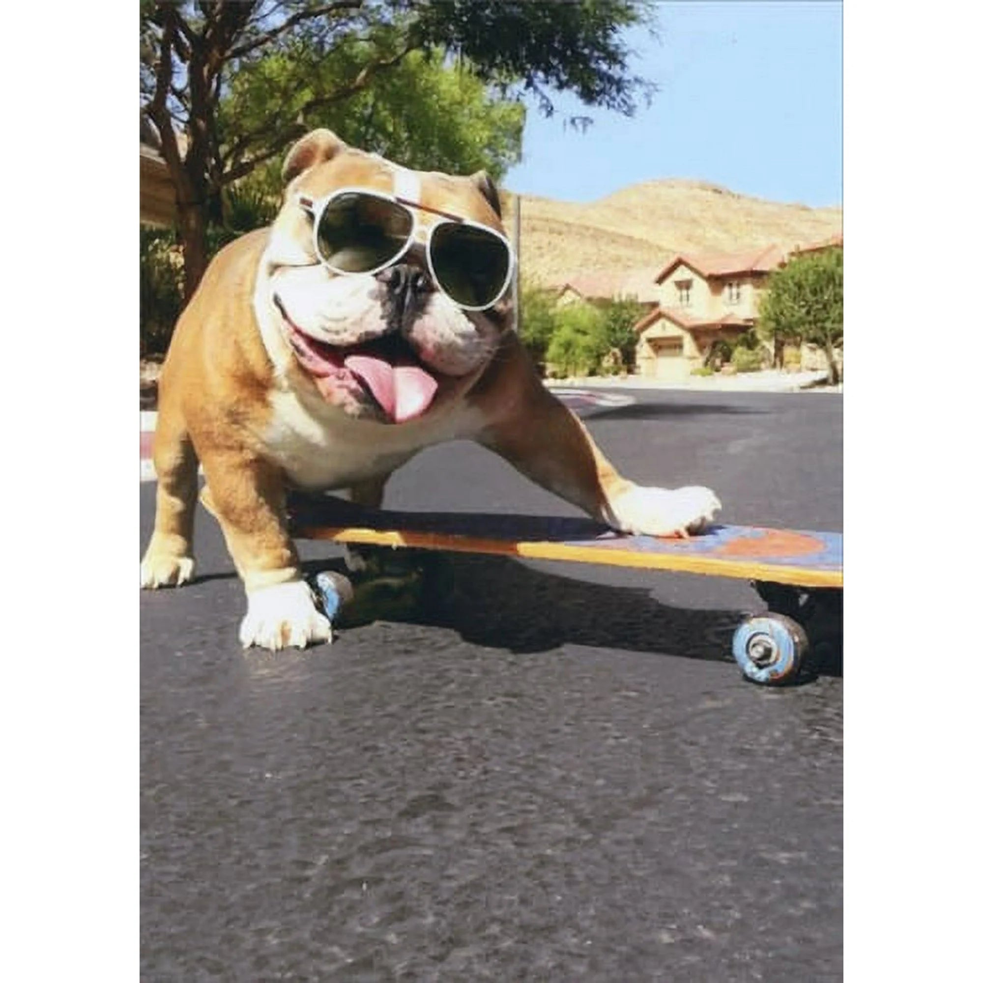 Greeting Card Bulldog Sunglasses