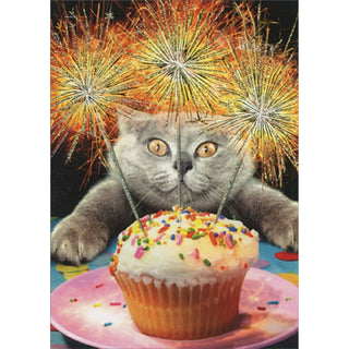 Birthday Greeting Card Cat w/ Sparkler Cake
