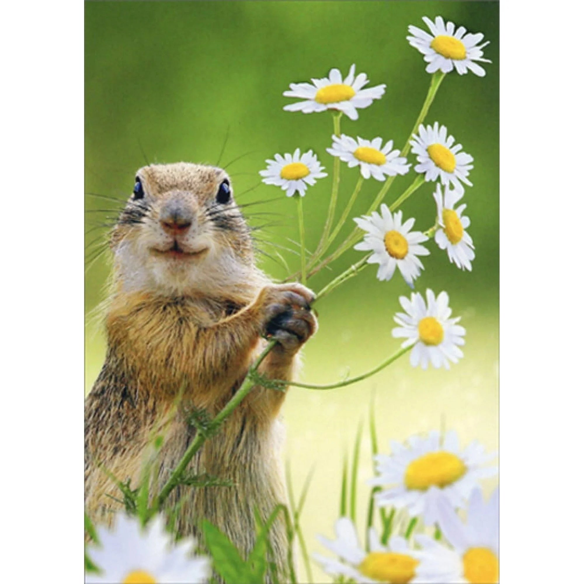 Greeting Card Squirrel Holding Flowers