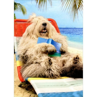 Retirement Greeting Card Lounging Sheep Dog