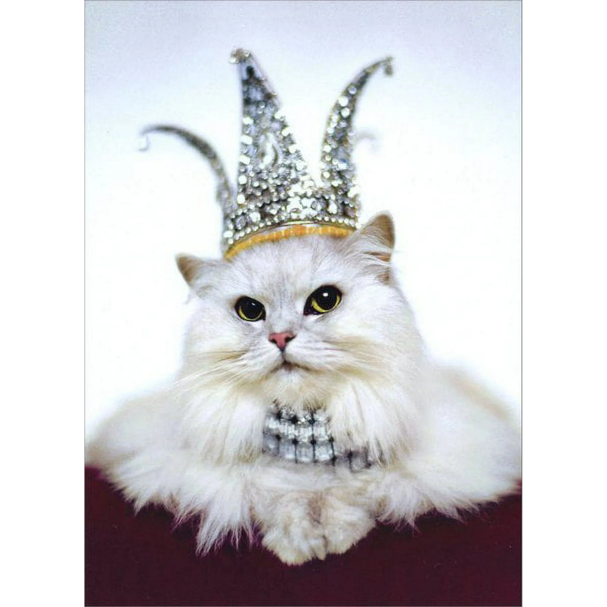 Greeting Card Princess Kitten