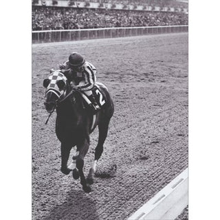 Secretariat Birthday Card