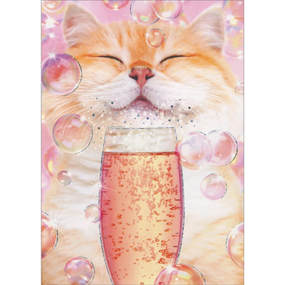 Birthday Greeting Card Cat w/ Champagne