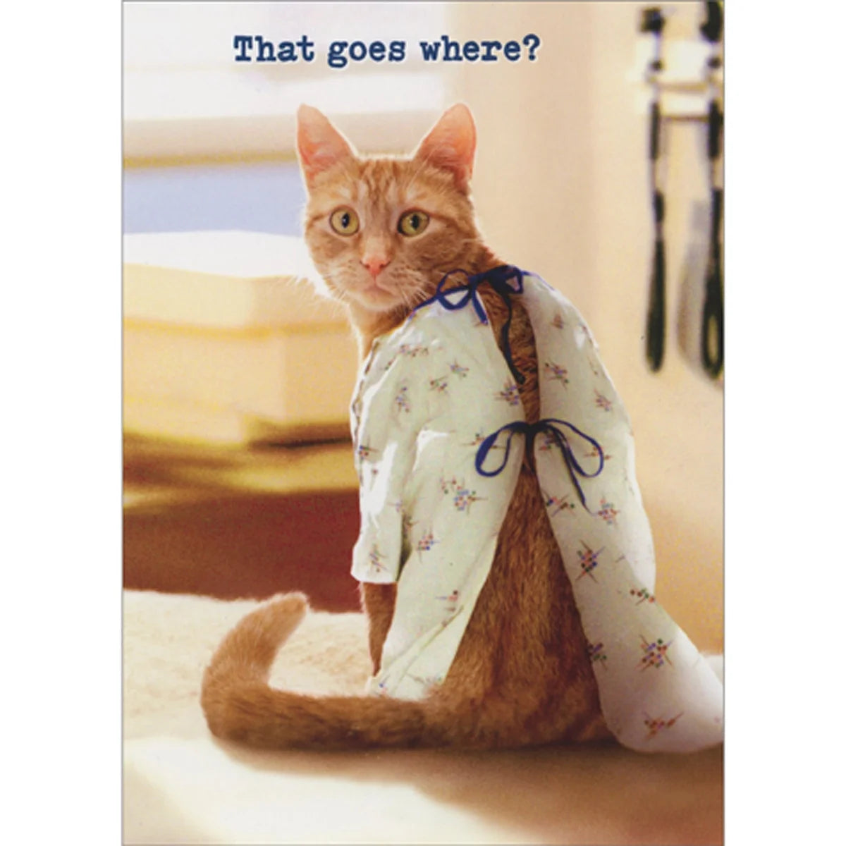 Greeting Card Cat Hospital Gown