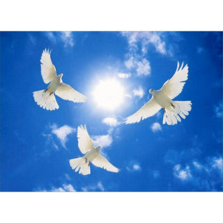 Greeting Card Three White Doves