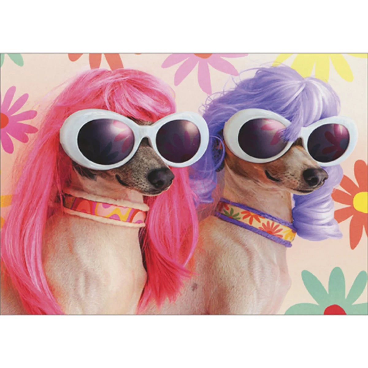 Friend Greeting Card Two Dogs Wearing Wigs
