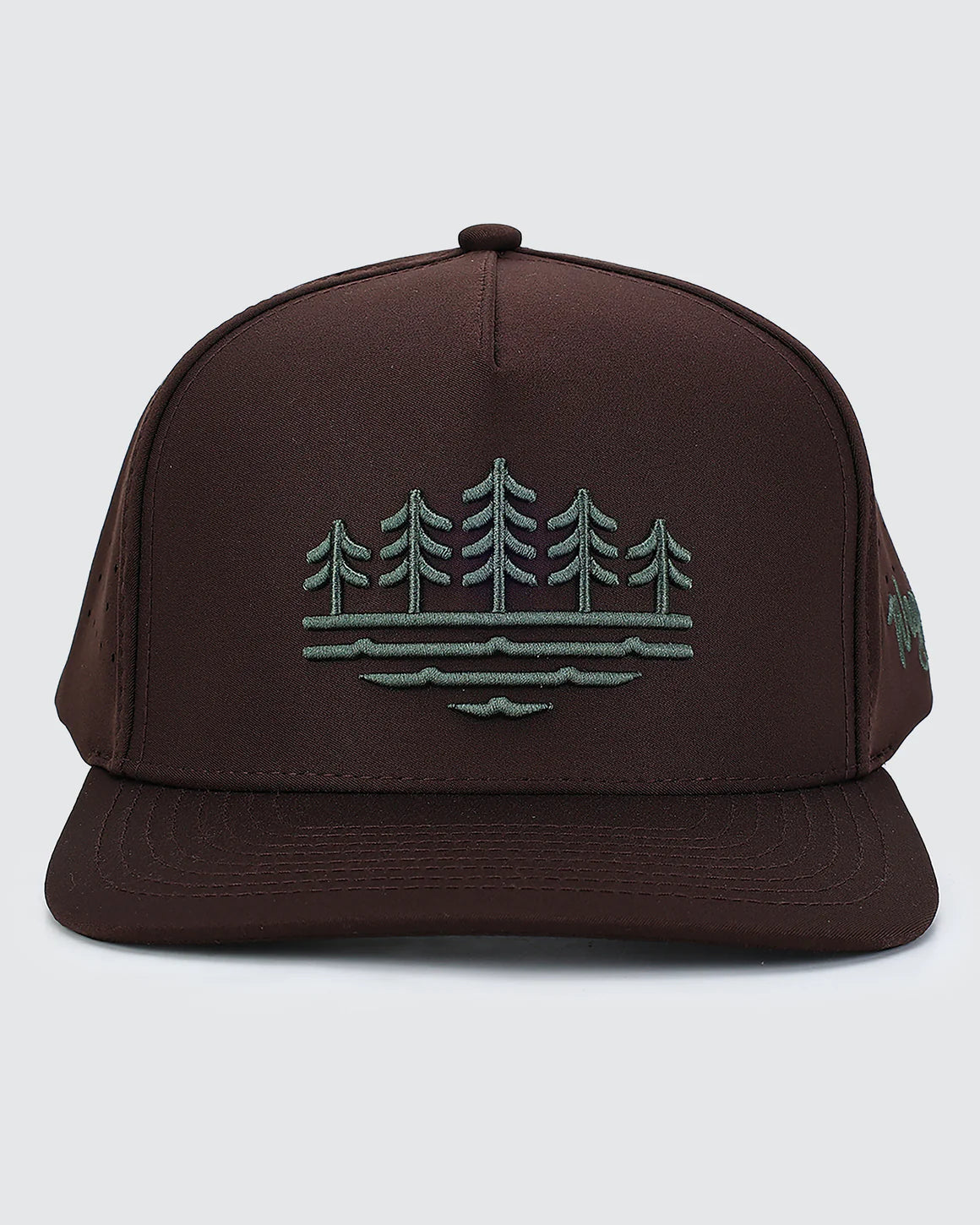 Back Pine Snapback Hat