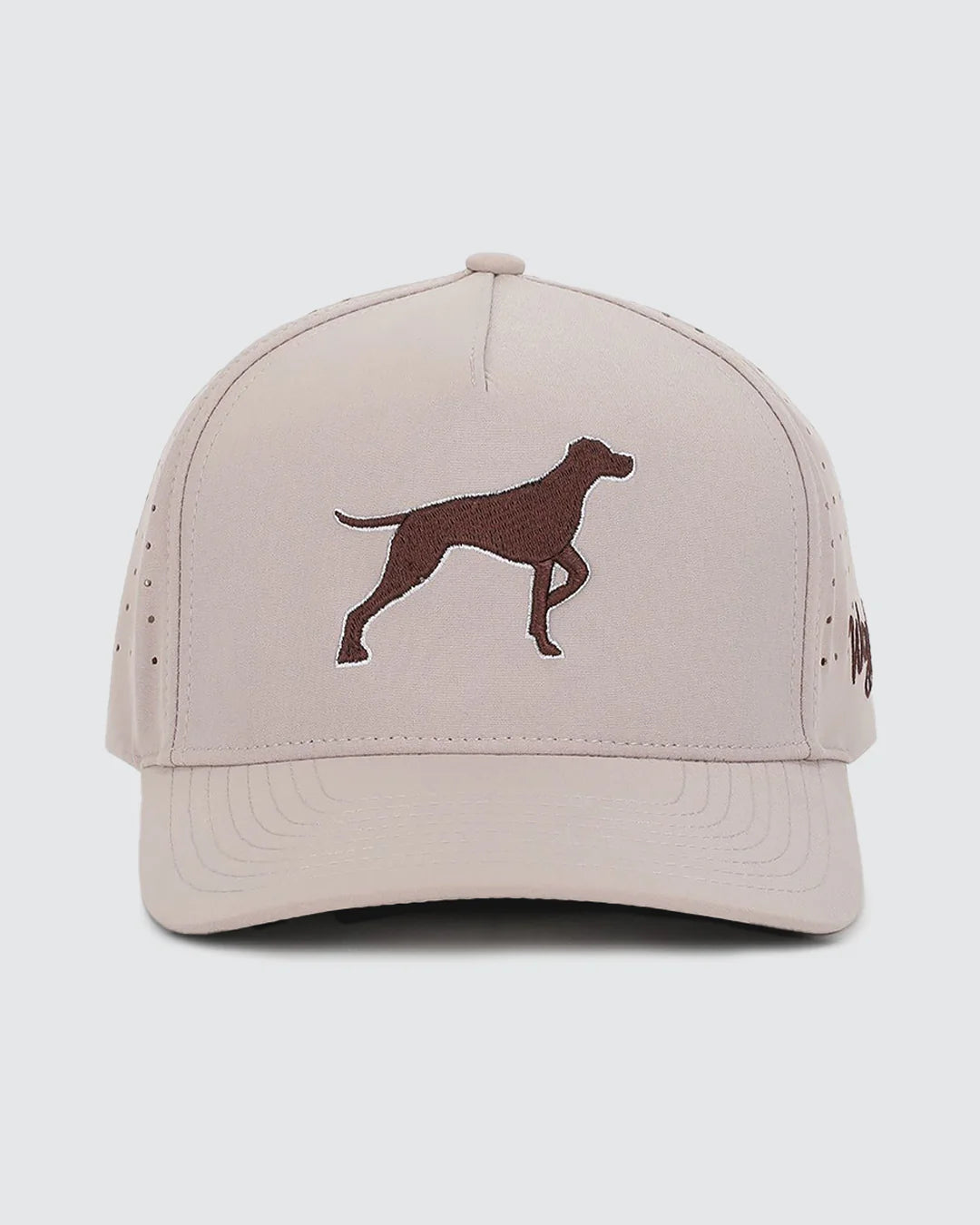 Waggle Bird Dog Hat