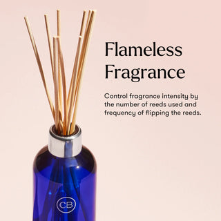 Volcano Artisan Terrazza Velluto Reed Diffuser